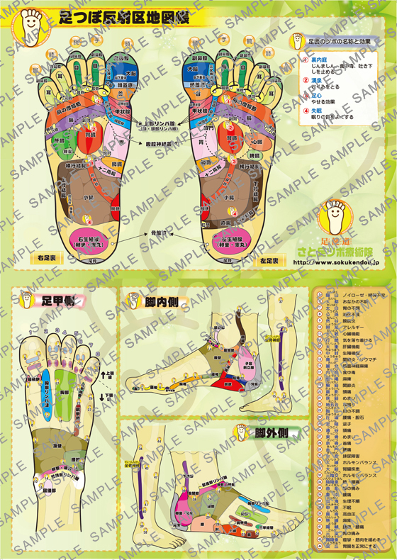 大地図帳ポスター B2 ポスター版(515×728)